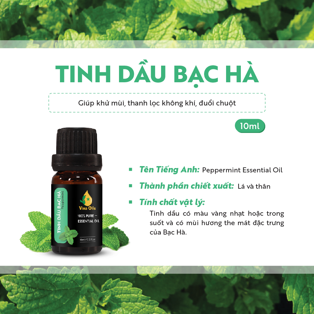 Tinh dầu Xông Bạc Hà 10ml (1 thùng)